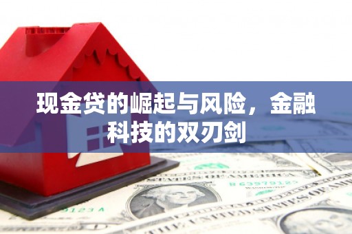 田阳现金贷的崛起与风险，金融科技的双刃剑