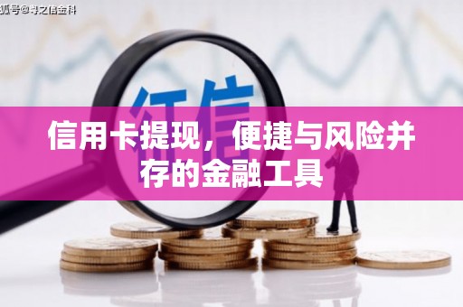 榆树信用卡提现，便捷与风险并存的金融工具