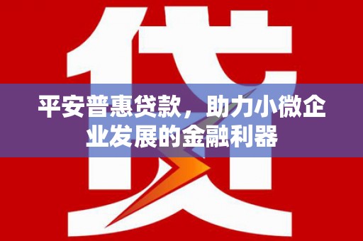 赫山平安普惠贷款，助力小微企业发展的金融利器