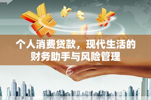 望谟个人消费贷款，现代生活的财务助手与风险管理