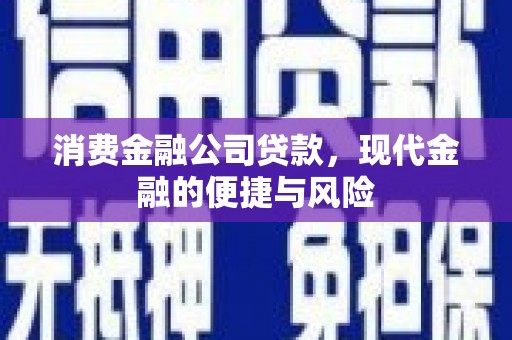 工布江达消费金融公司贷款，现代金融的便捷与风险