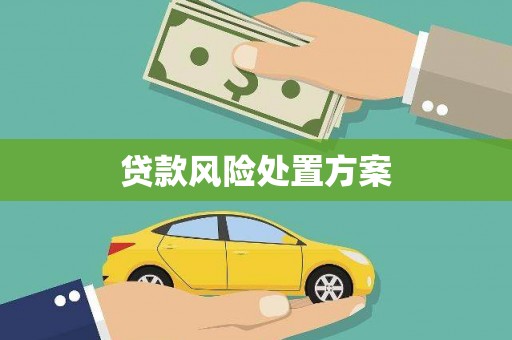 临漳贷款风险处置方案