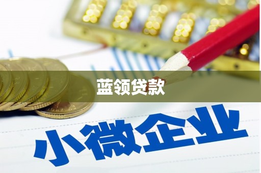 贡井蓝领贷款