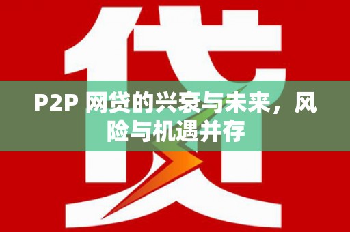 狮子P2P 网贷的兴衰与未来，风险与机遇并存