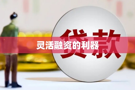 陆丰灵活融资的利器