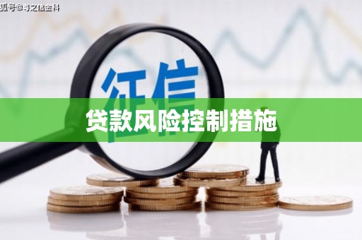 通山贷款风险控制措施