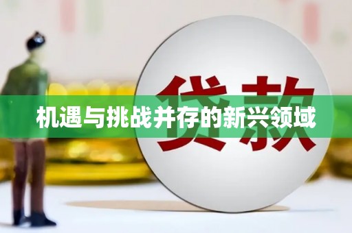 山上机遇与挑战并存的新兴领域