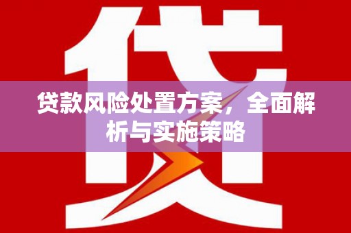 城固贷款风险处置方案，全面解析与实施策略