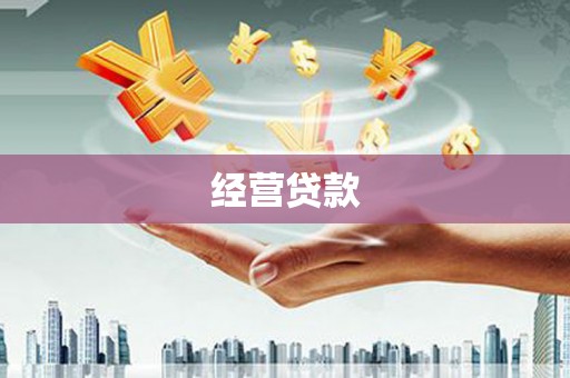 单县经营贷款