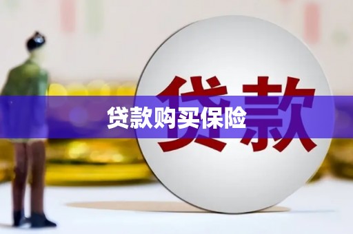 美溪贷款购买保险