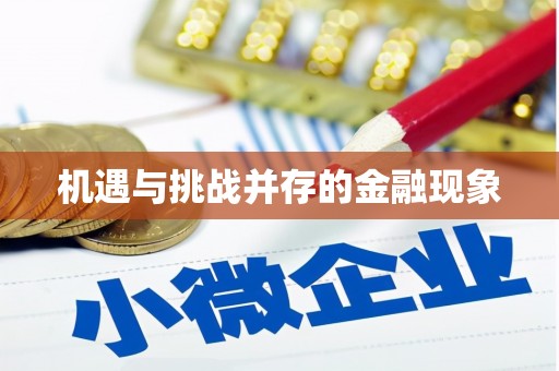 十堰机遇与挑战并存的金融现象