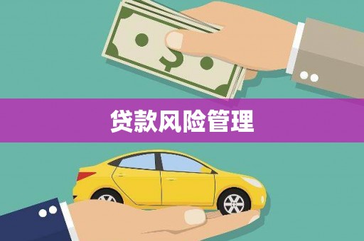 金湾贷款风险管理